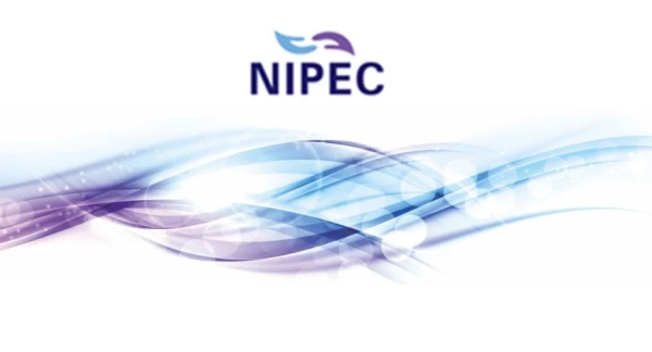 Northern Ireland Practice and Education Council