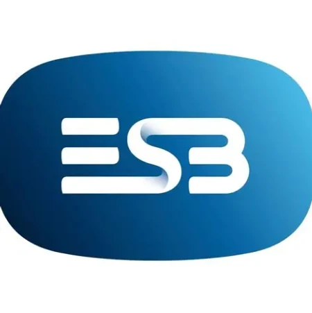 Electricity Supply Board