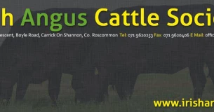 The Irish Angus Cattle Society Ltd