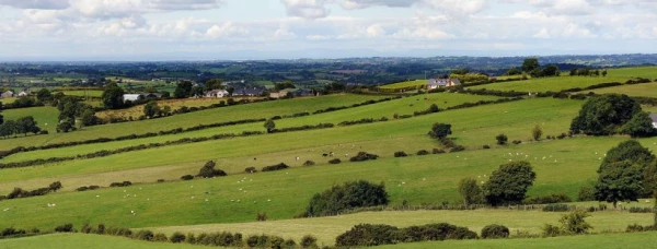 Agri-Food and Biosciences Institute