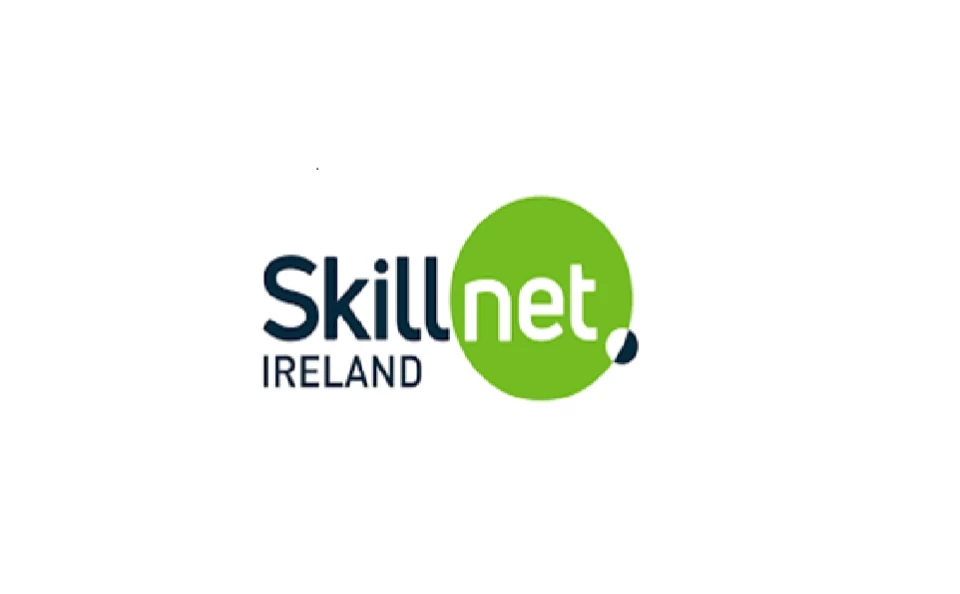 Chief Executive, Skillnet Ireland