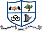 Mountmellick Community School