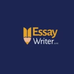 Essay Writers NZ
